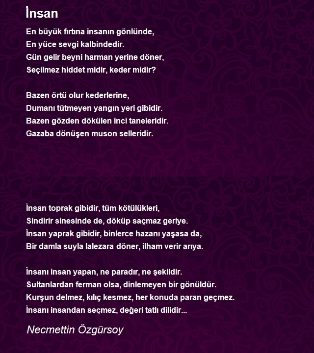 Necmettin Özgürsoy