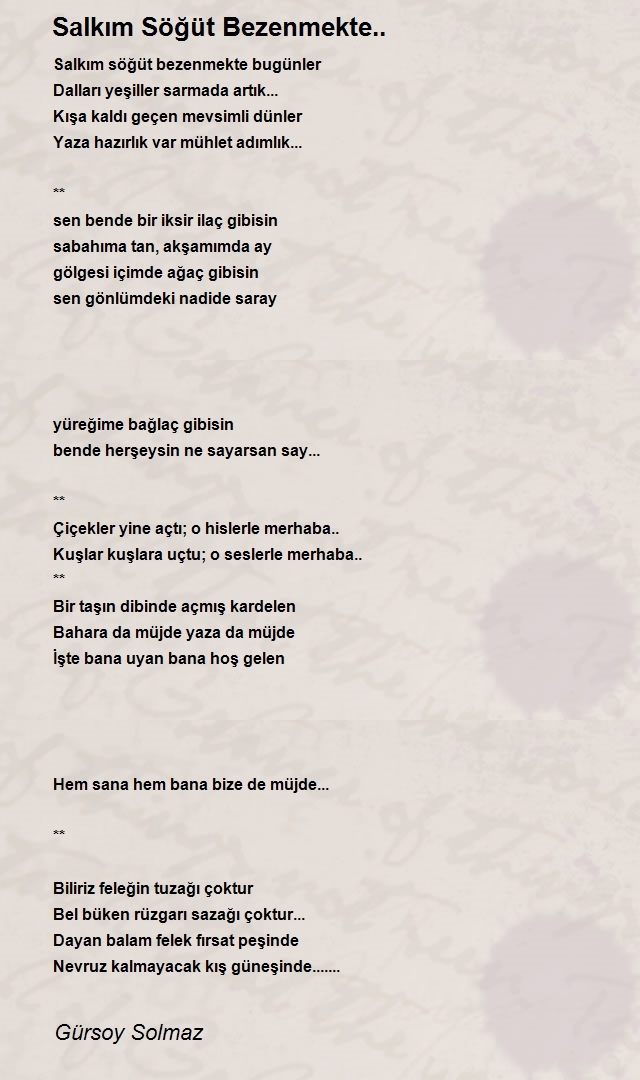 Gürsoy Solmaz