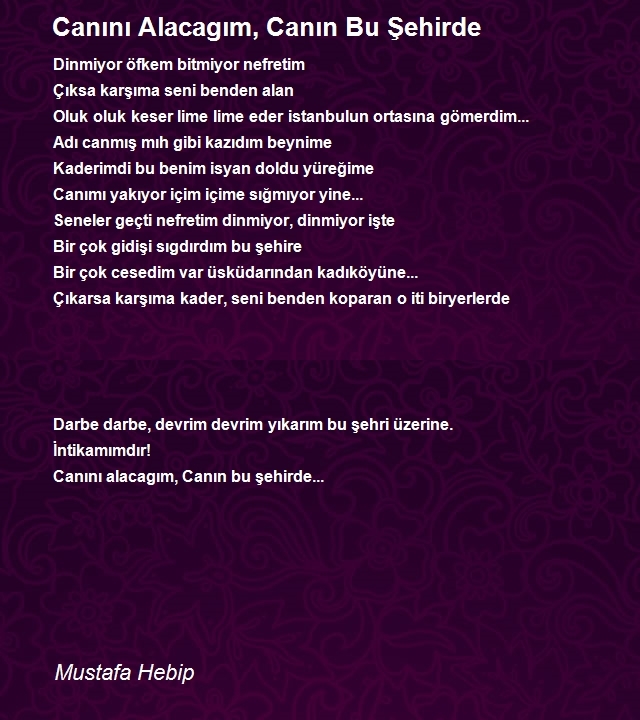 Mustafa Hebip