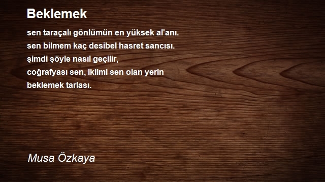 Musa Özkaya