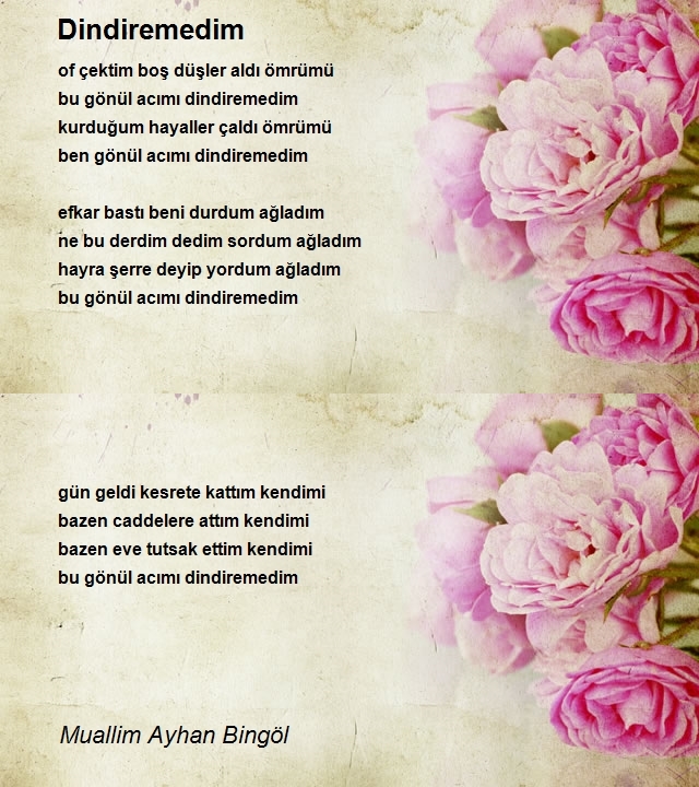 Muallim Ayhan Bingöl