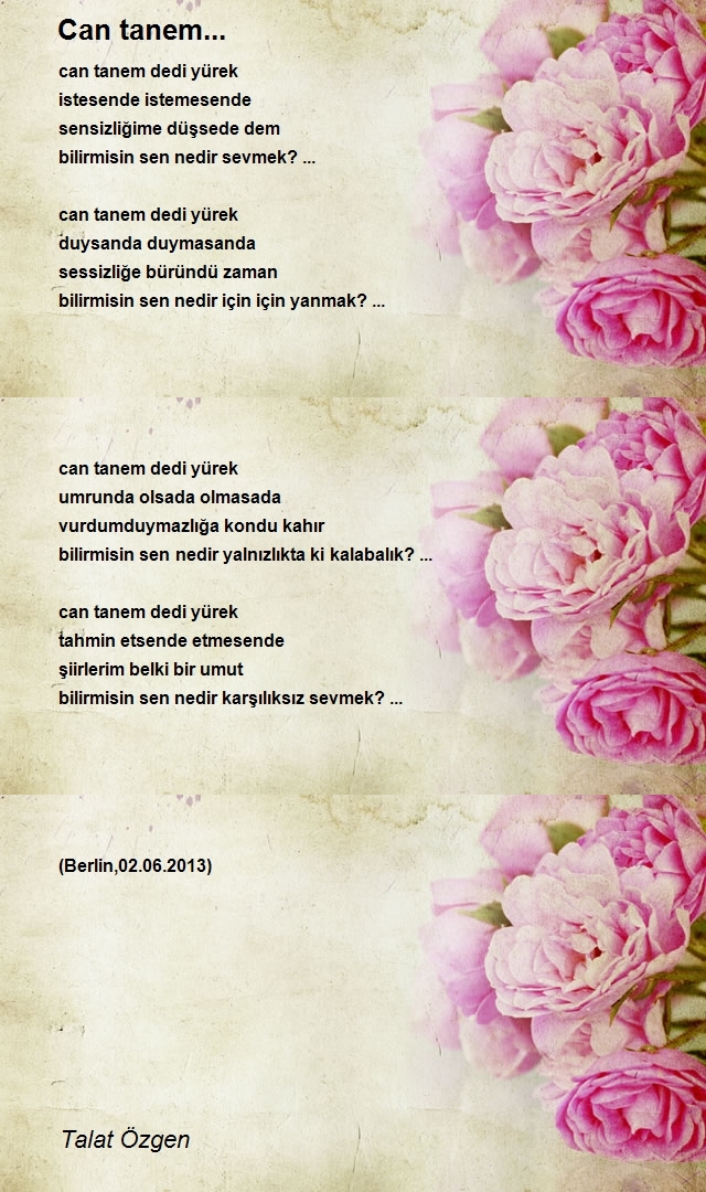 Talat Özgen