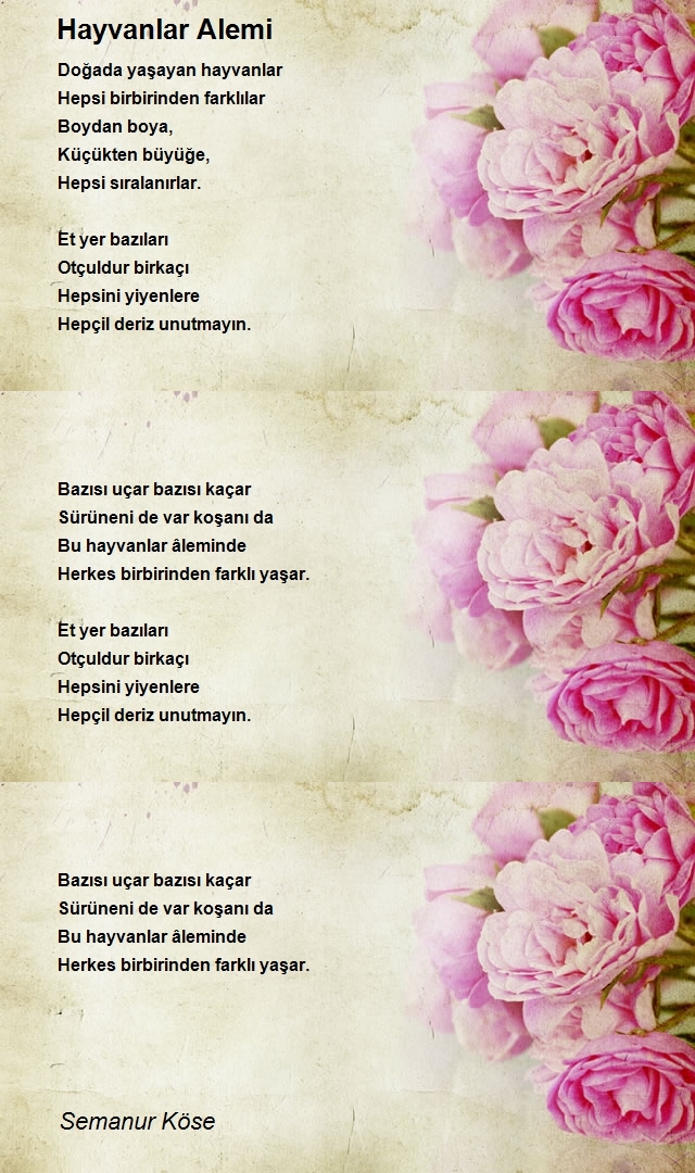 Semanur Köse