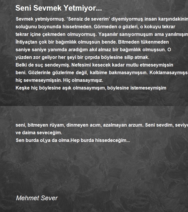 Mehmet Sever