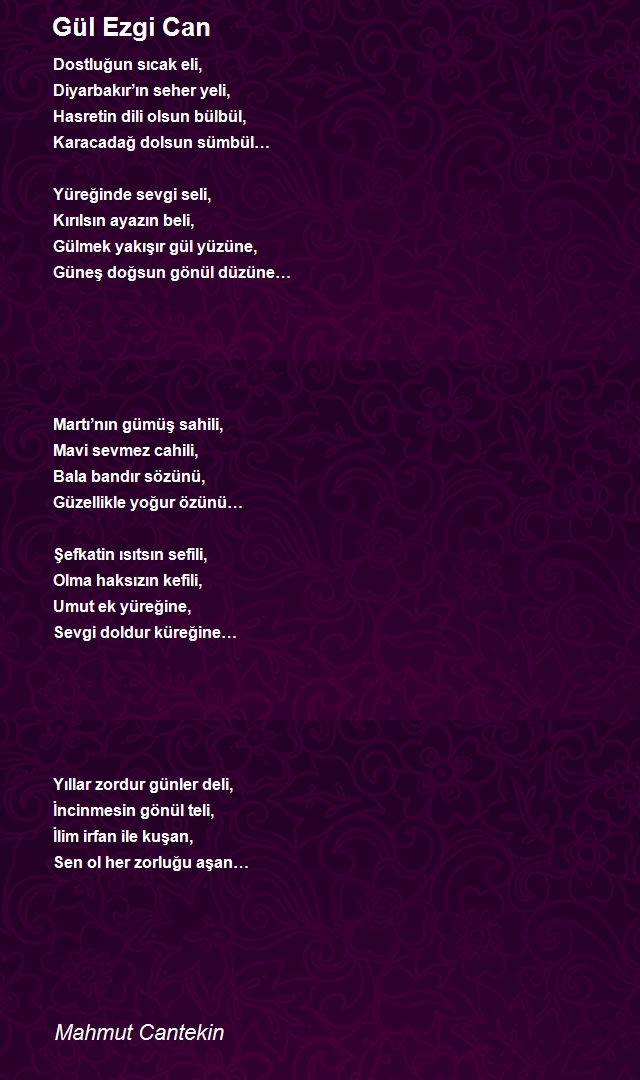 Mahmut Cantekin