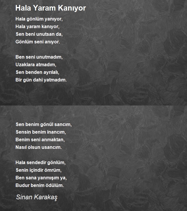 Sinan Karakaş