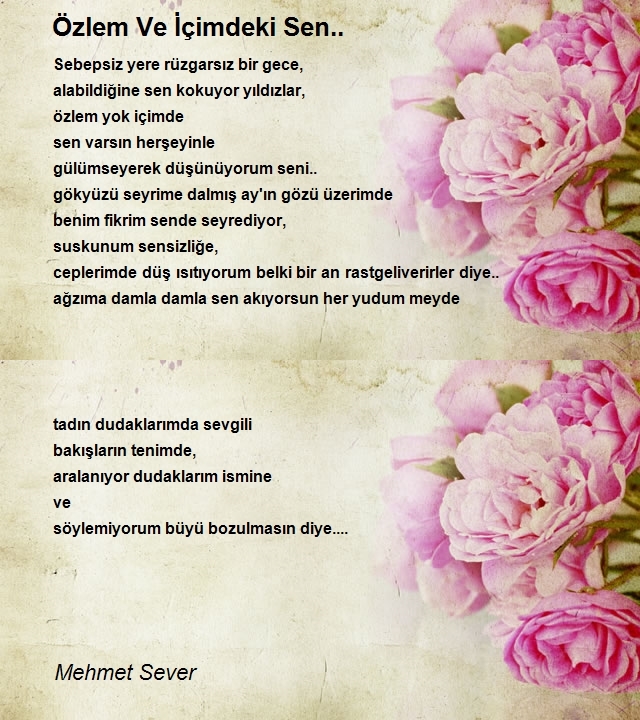 Mehmet Sever