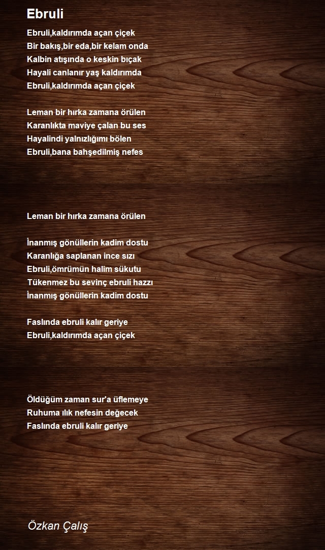 Özkan Çalış