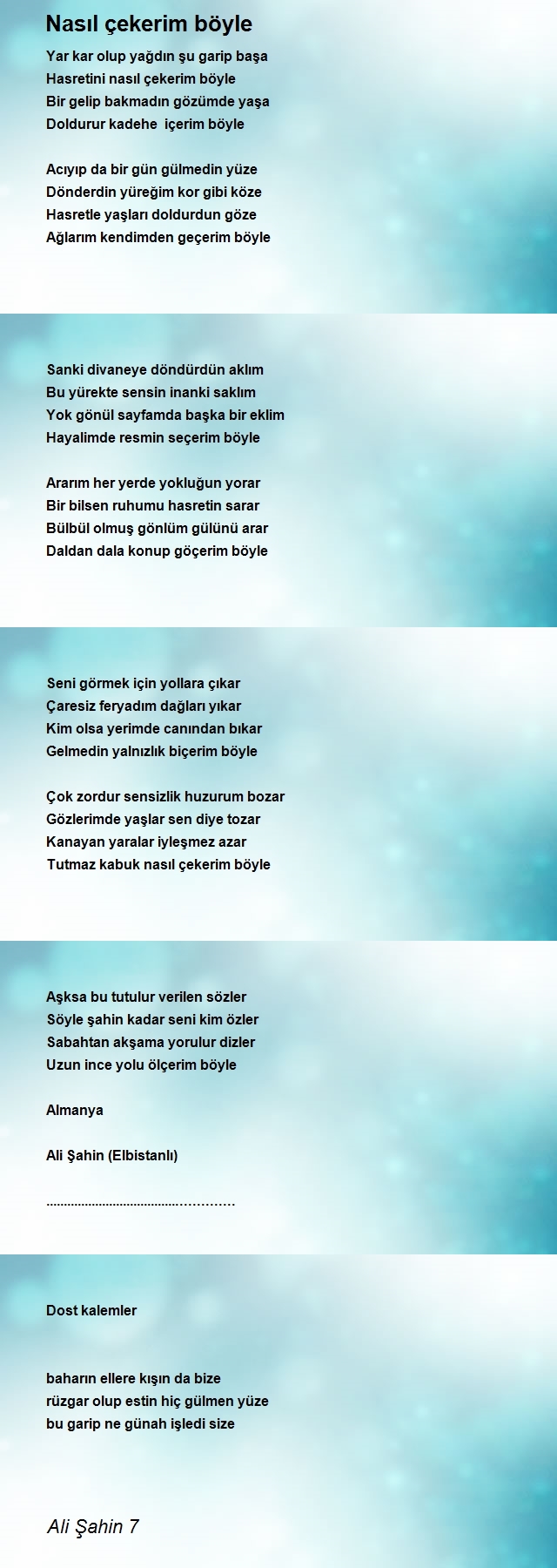 Ali Şahin 7