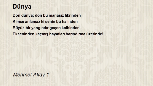 Mehmet Akay 1