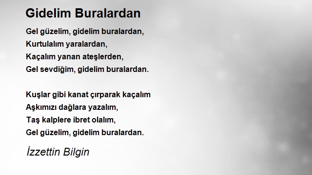 İzzettin Bilgin