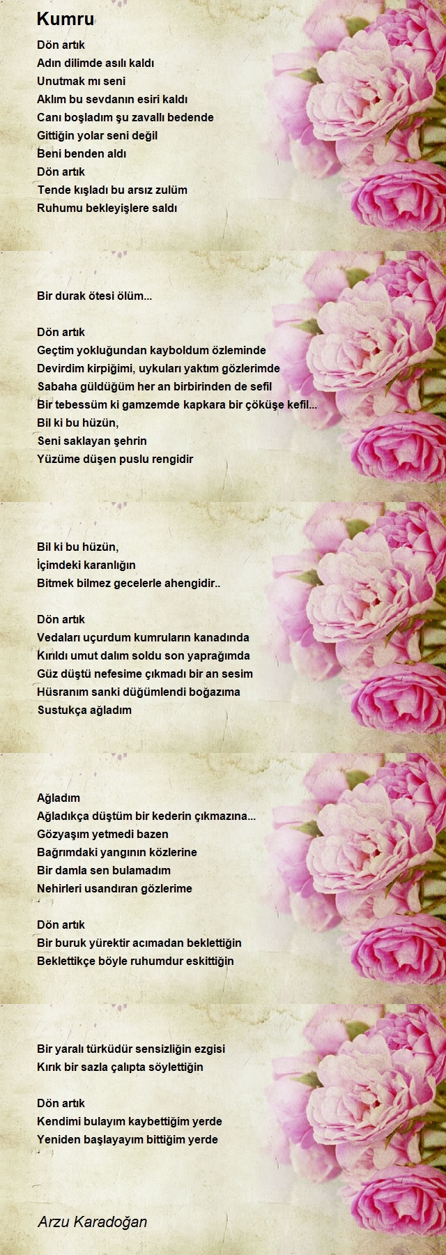 Arzu Karadoğan