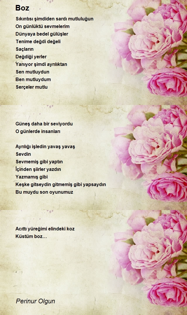 Perinur Olgun