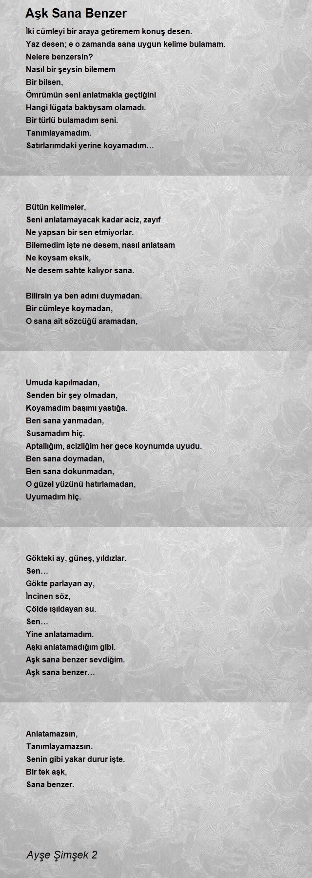 Ayşe Şimşek 2