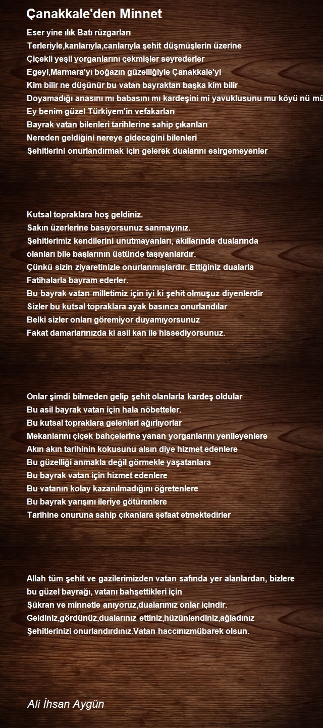 Ali İhsan Aygün