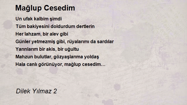 Dilek Yılmaz 2