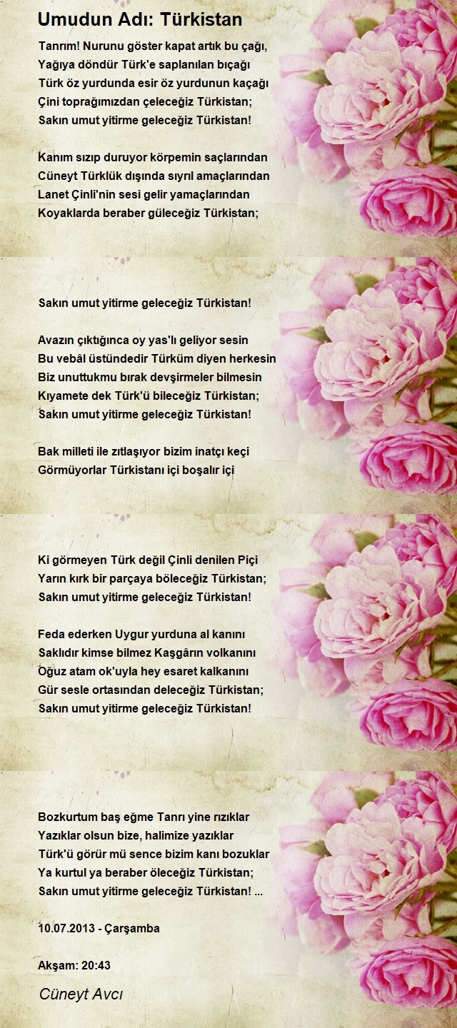 Cüneyt Avcı