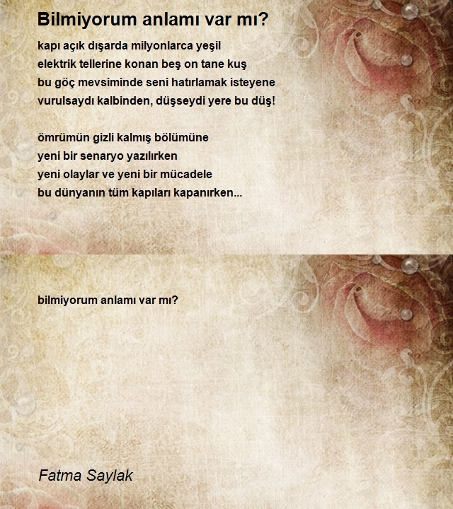 Fatma Saylak