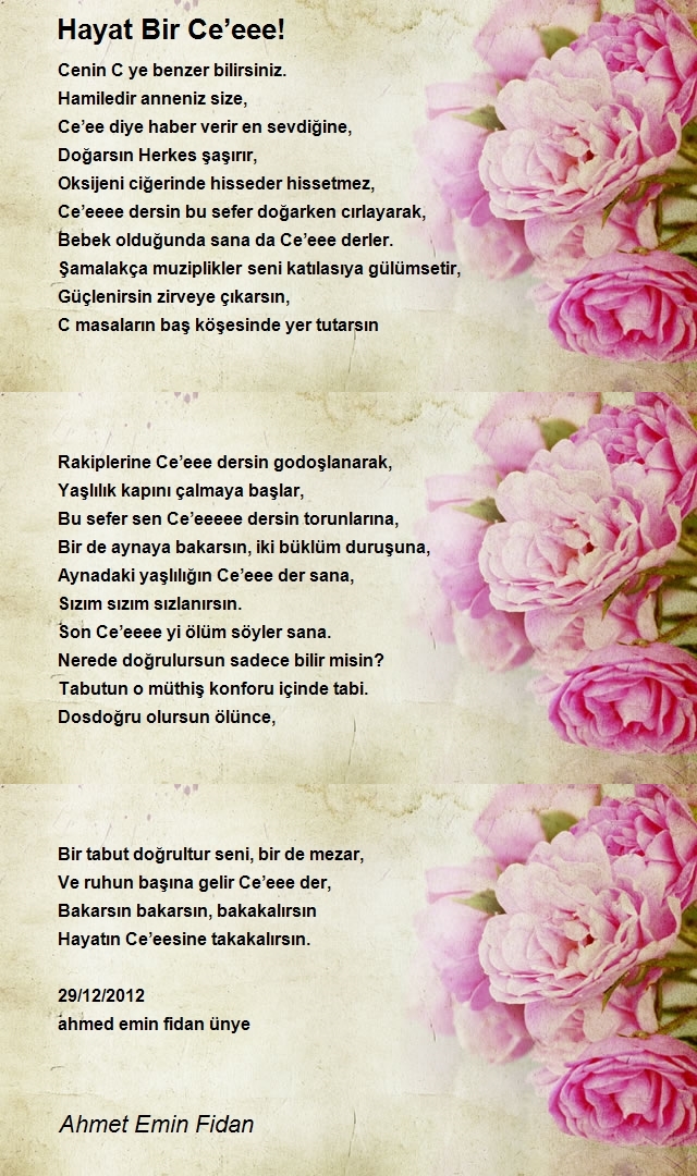 Ahmet Emin Fidan