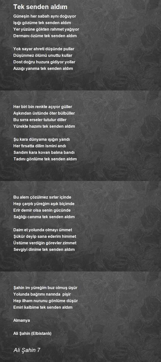 Ali Şahin 7