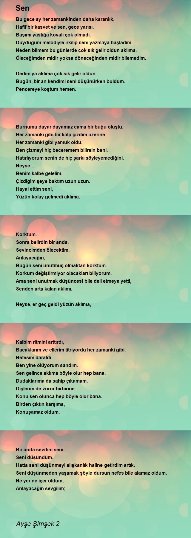 Ayşe Şimşek 2