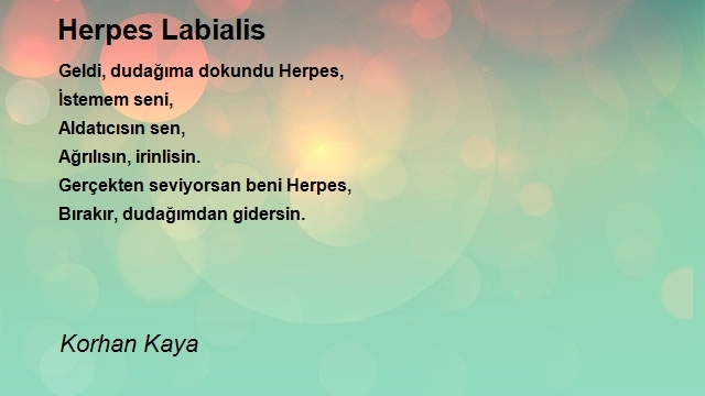 Korhan Kaya
