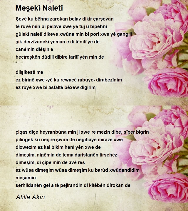 Atilla Akın