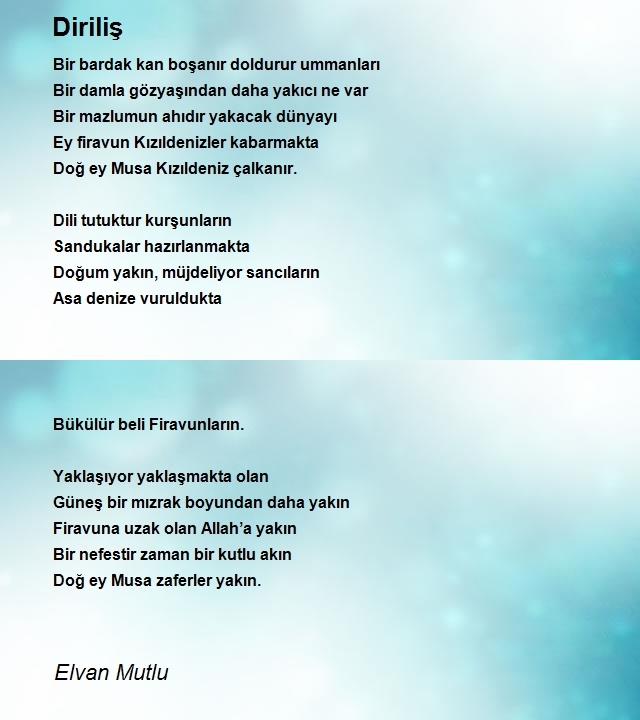 Elvan Mutlu