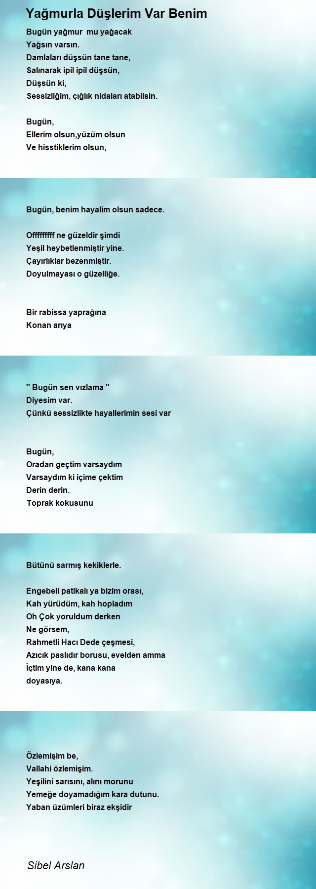 Sibel Arslan