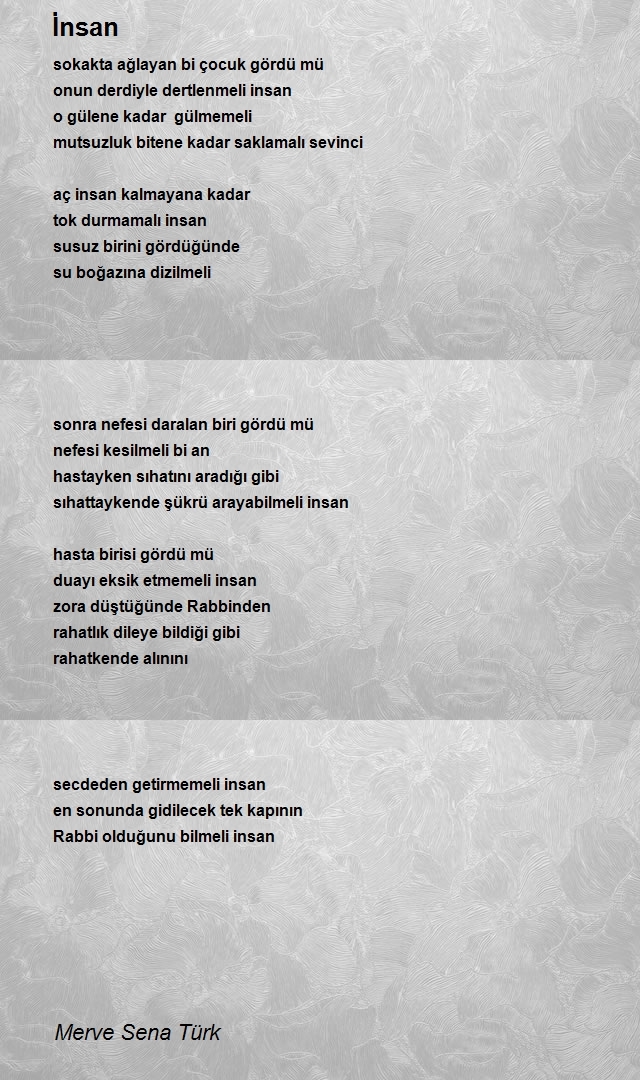 Merve Sena Türk