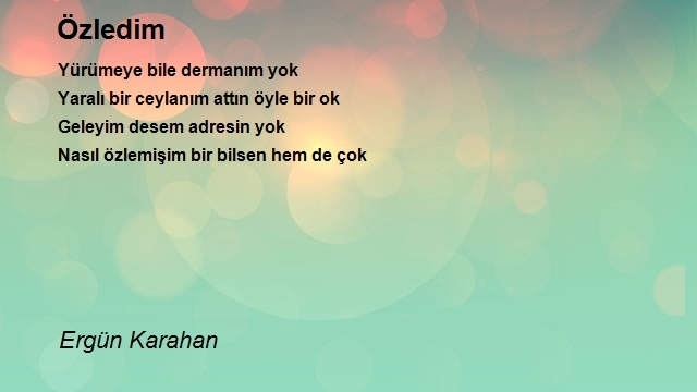 Ergün Karahan