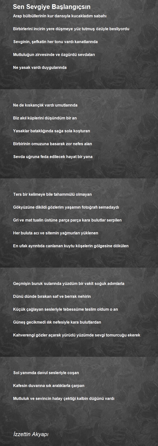İzzettin Akyapı