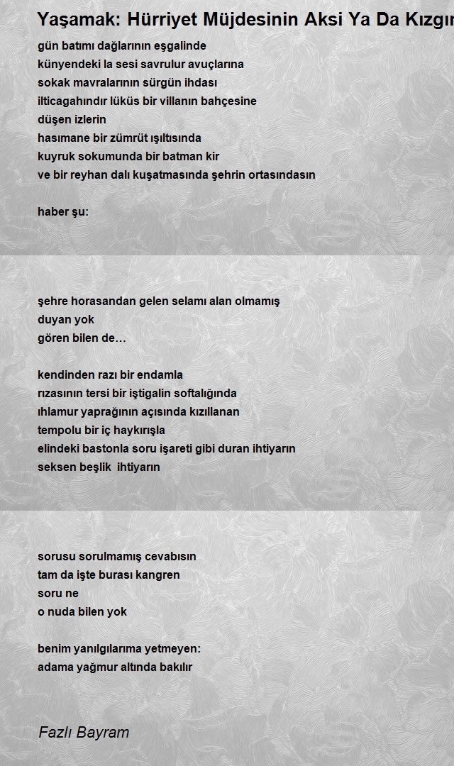 Fazlı Bayram