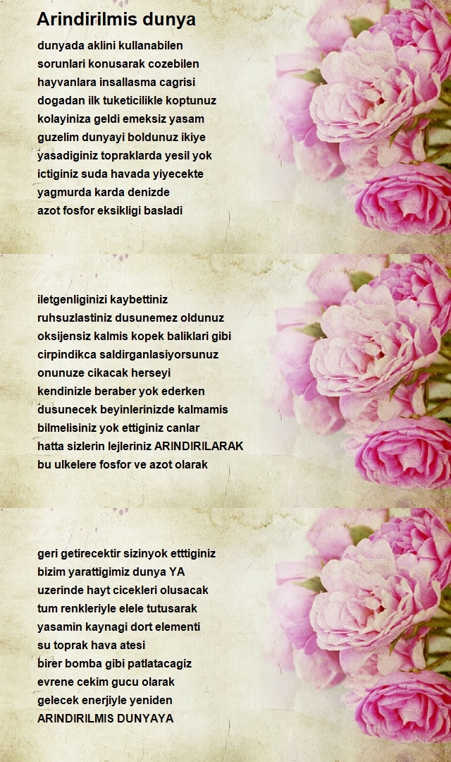 Birsen Budak