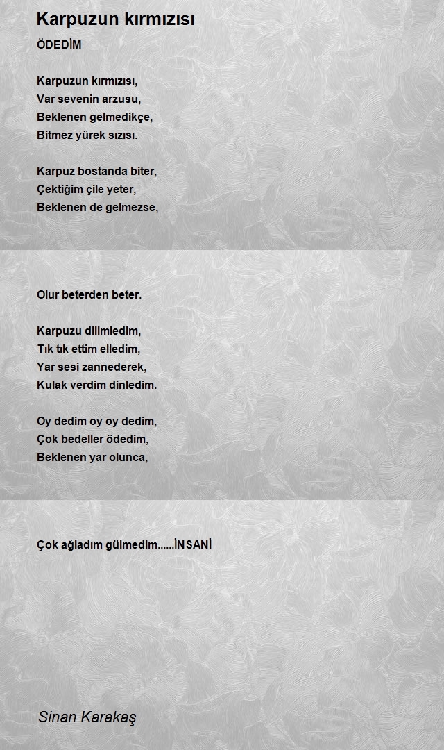 Sinan Karakaş
