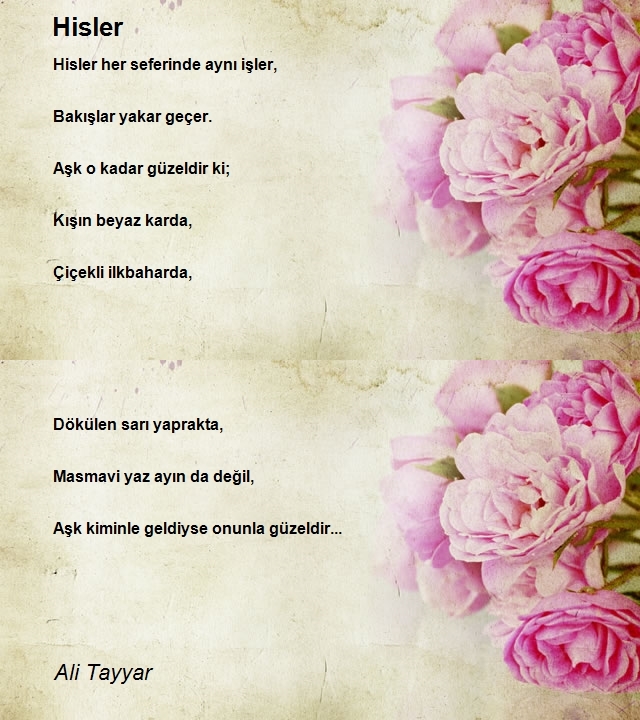 Ali Tayyar