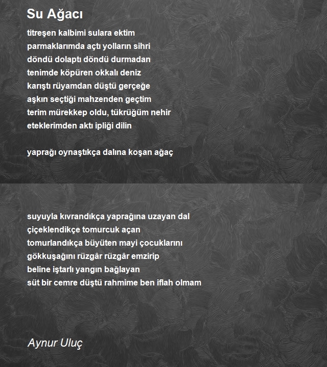 Aynur Uluç
