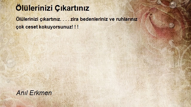 Anıl Erkmen
