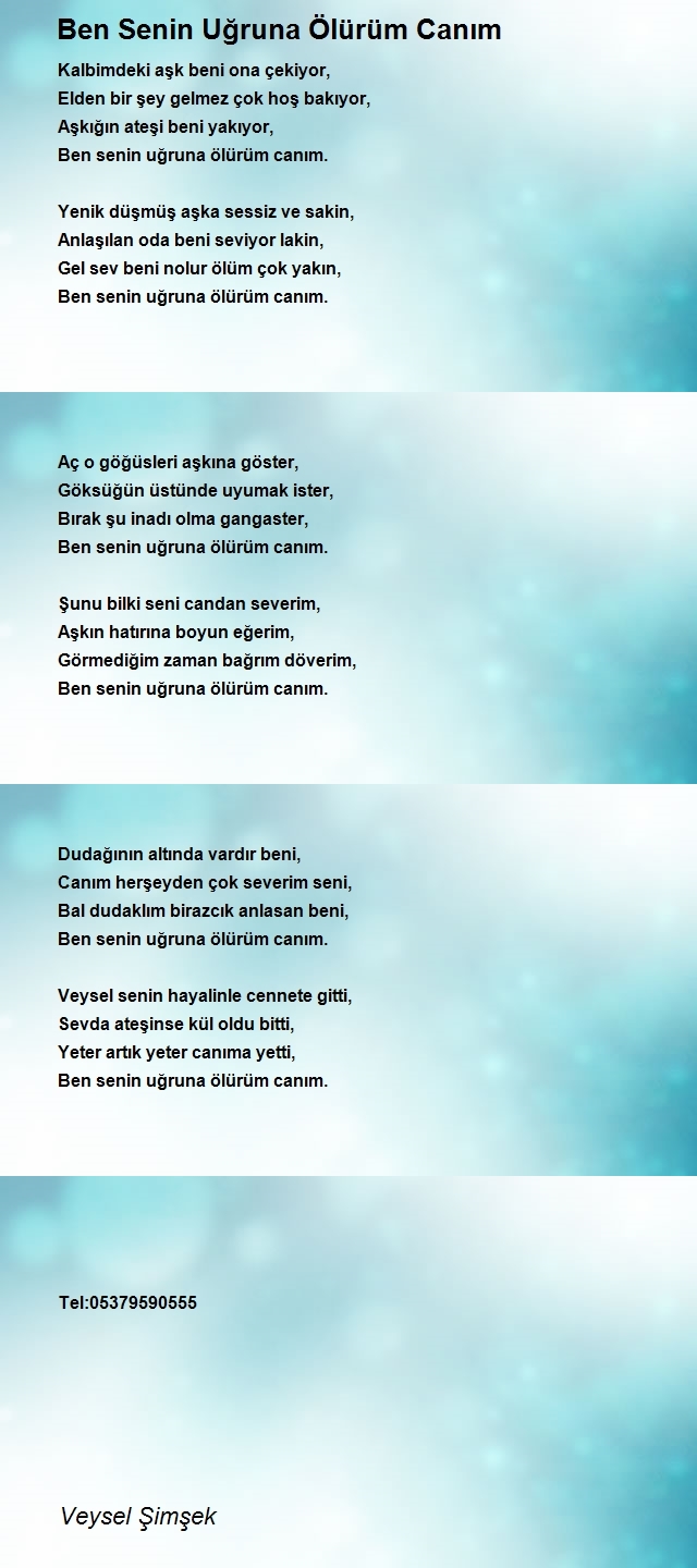 Veysel Şimşek