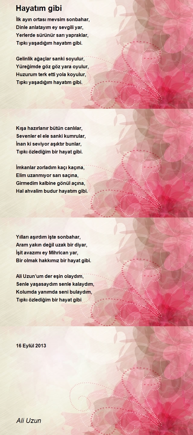 Ali Uzun