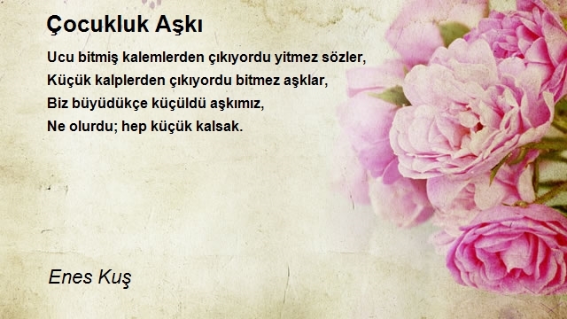 Enes Kuş