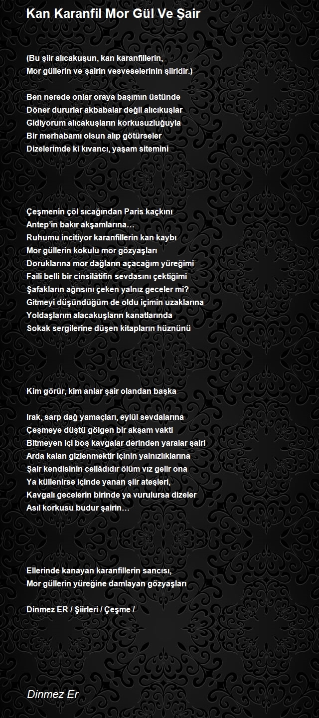 Dinmez Er