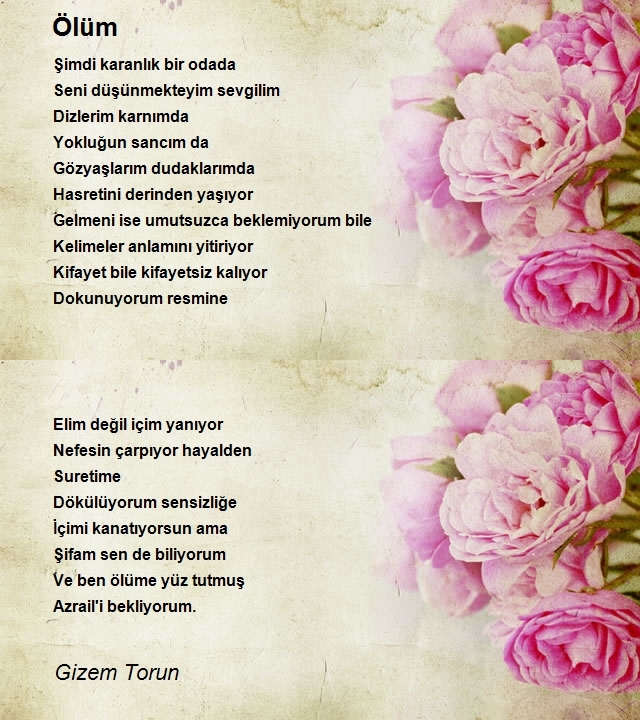 Gizem Torun