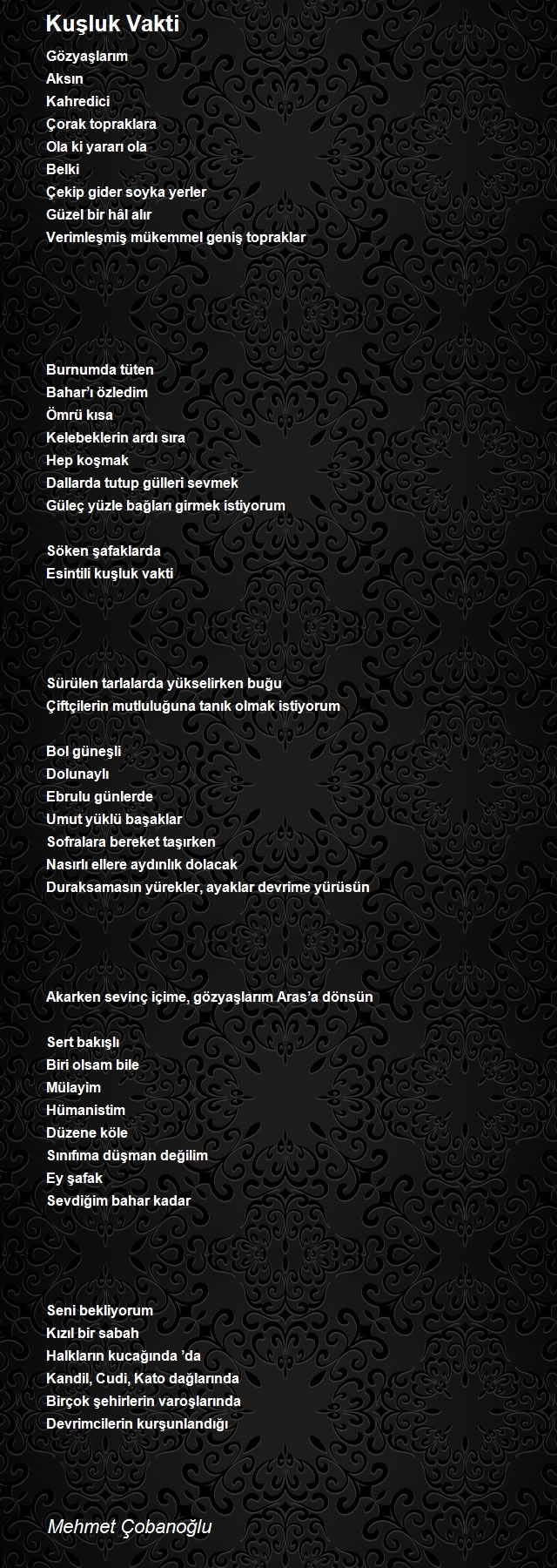 Mehmet Çobanoğlu