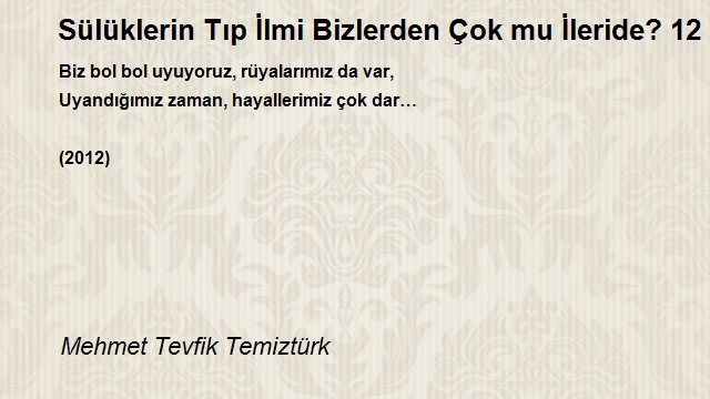 Mehmet Tevfik Temiztürk