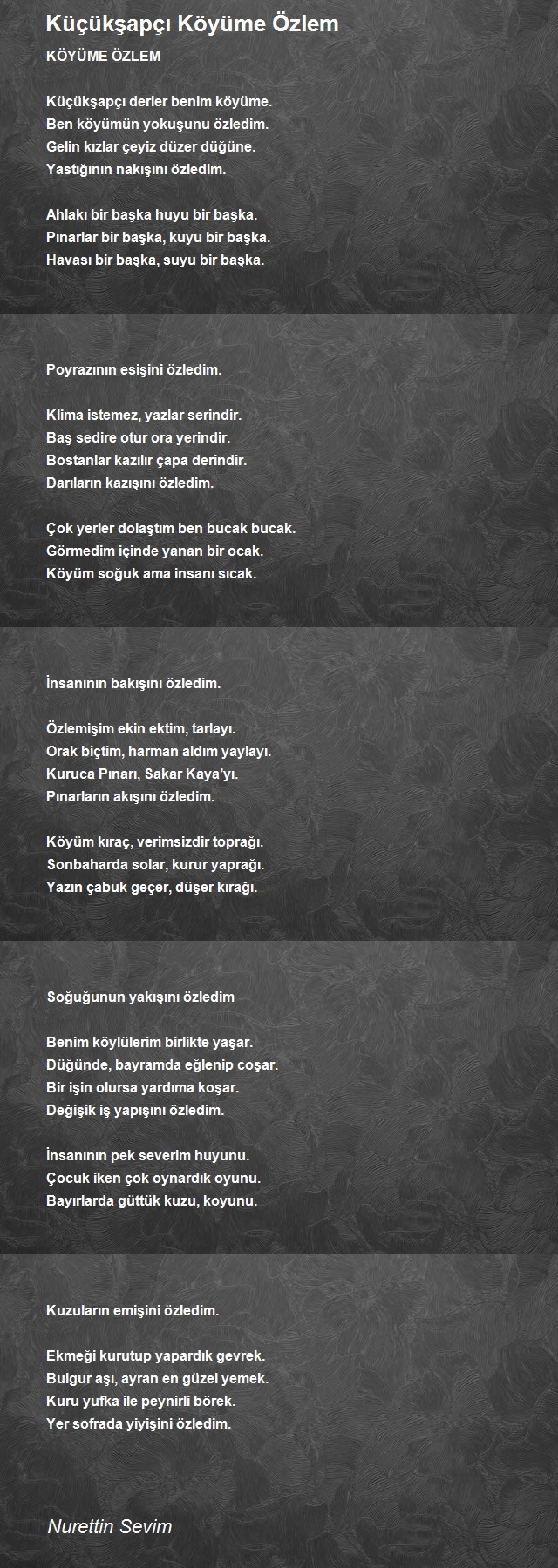 Nurettin Sevim