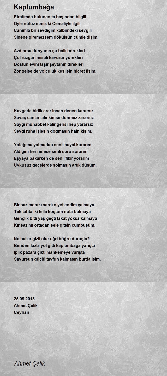 Ahmet Çelik