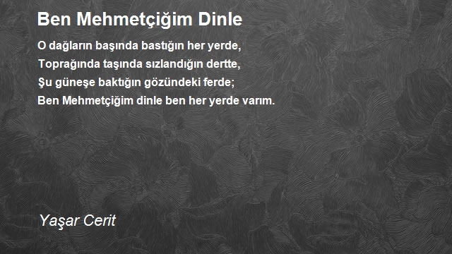 Yaşar Cerit