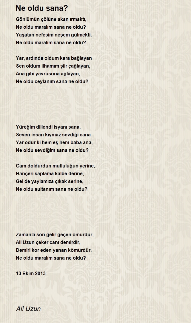 Ali Uzun