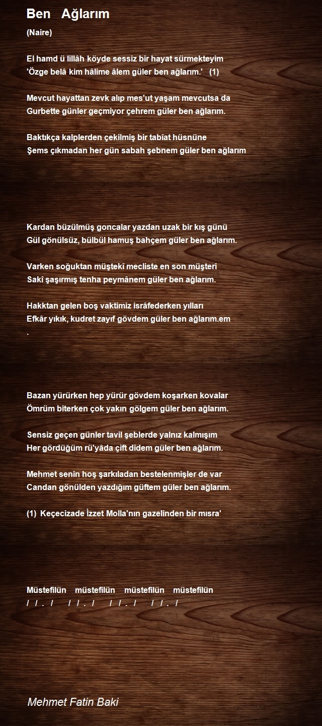 Mehmet Fatin Baki